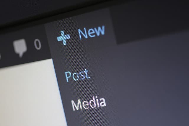WordPress: Advantages, Disadvantages, and Features to Consider